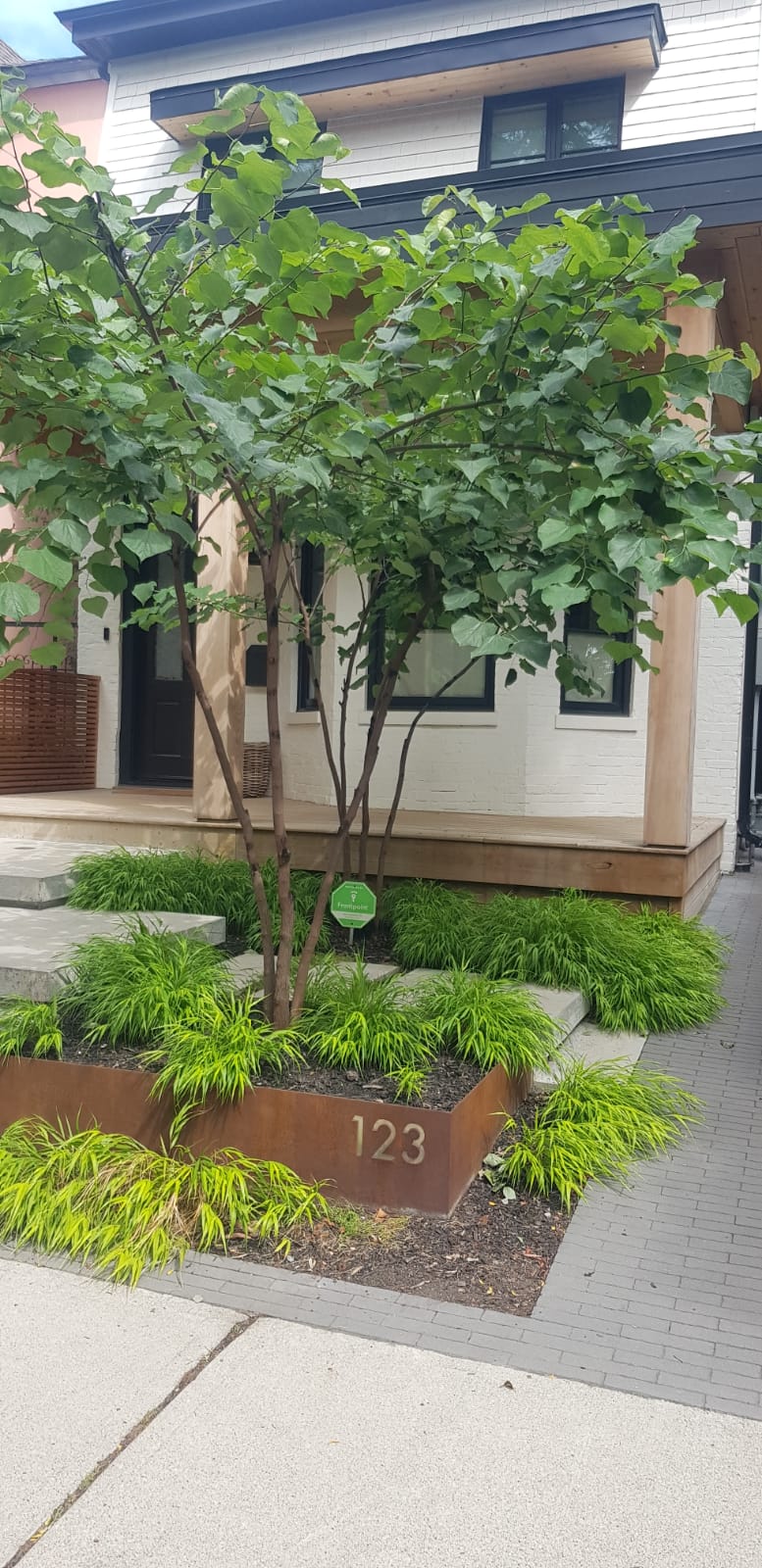 Corten steel landscaping 2