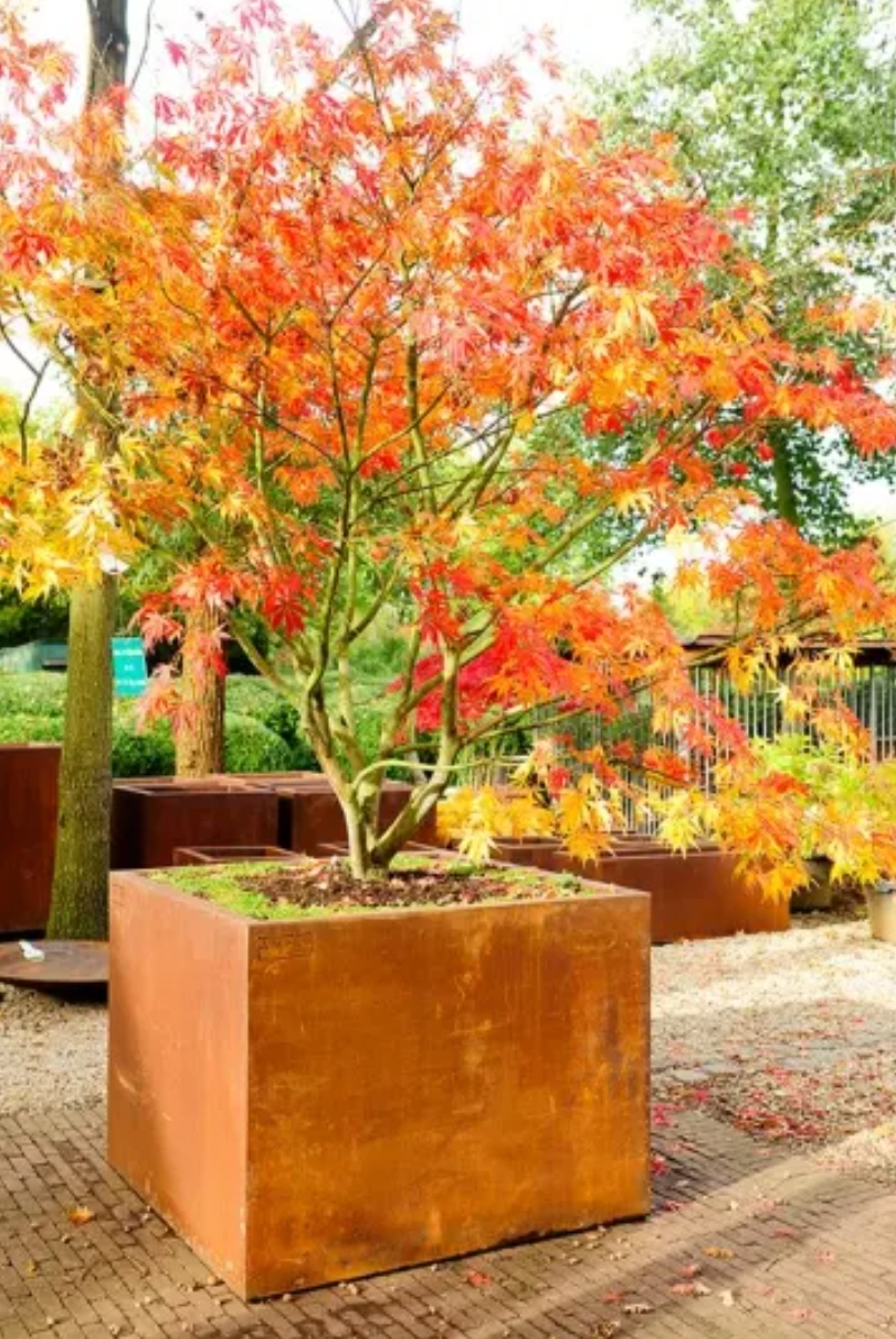 Corten steel landscaping 1